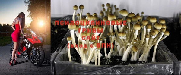 меф Аркадак