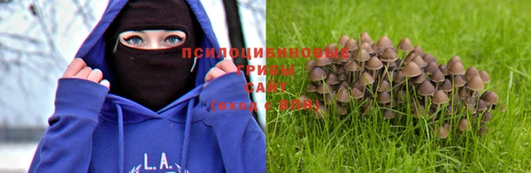 apvp Баксан